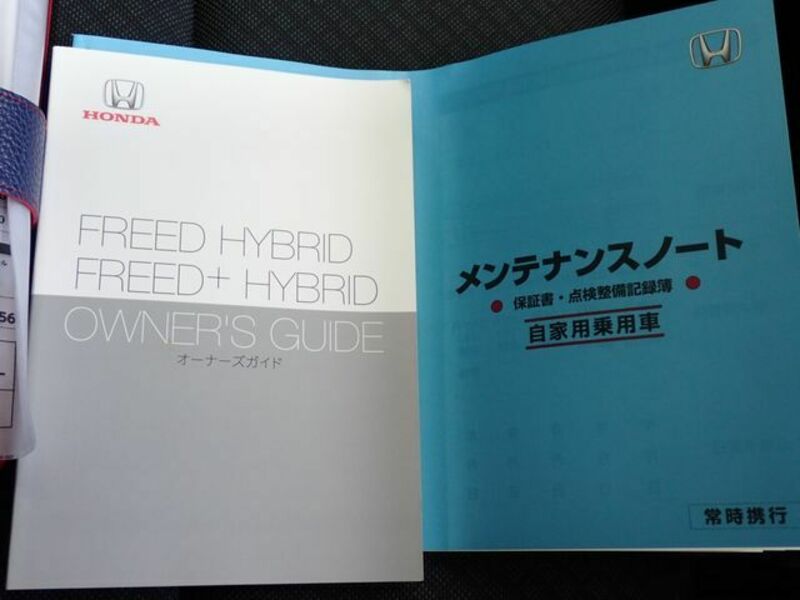 FREED HYBRID-28