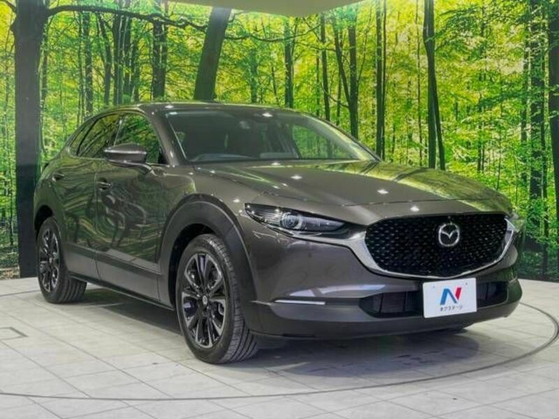 CX-30-16