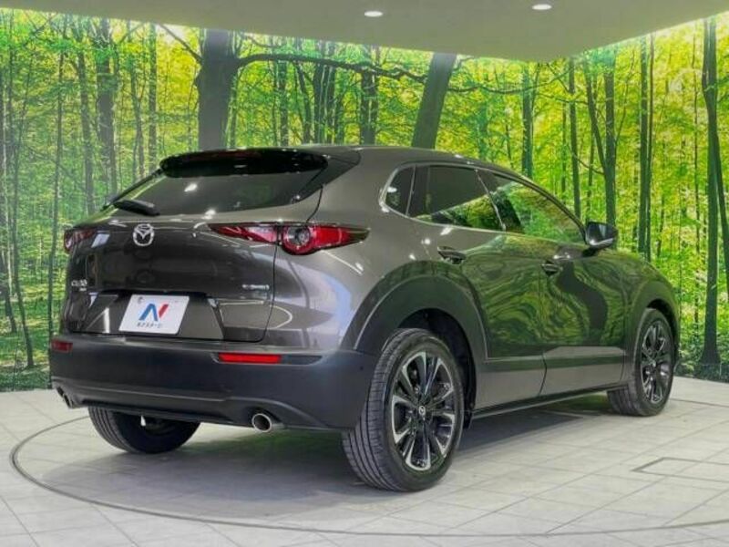 CX-30-17