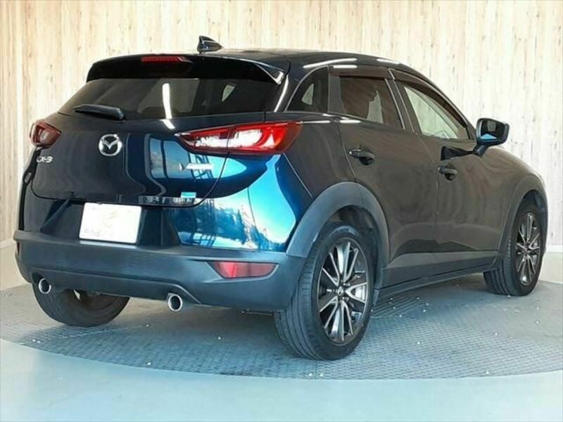 CX-3-17