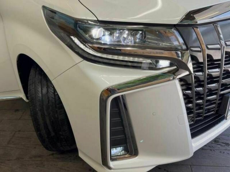 ALPHARD-15