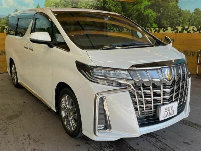 ALPHARD-19