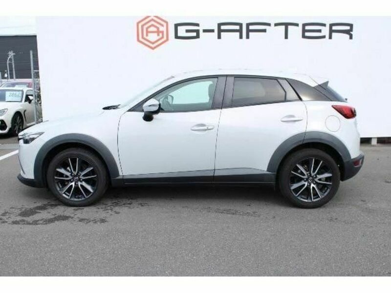 CX-3-8