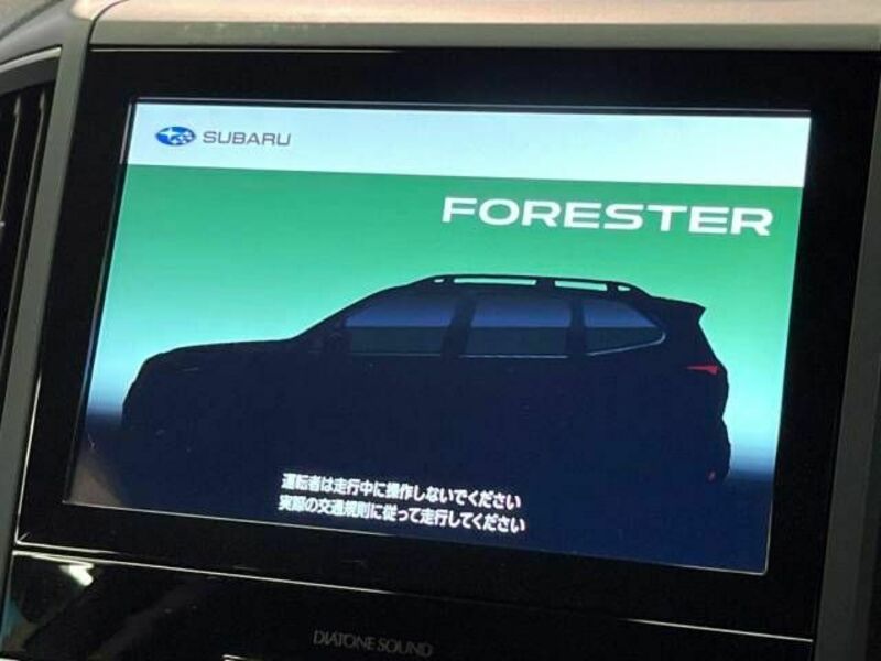 FORESTER-2