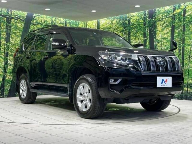 LAND CRUISER PRADO-17