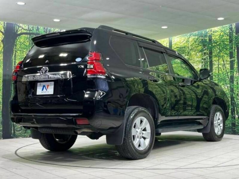 LAND CRUISER PRADO-18