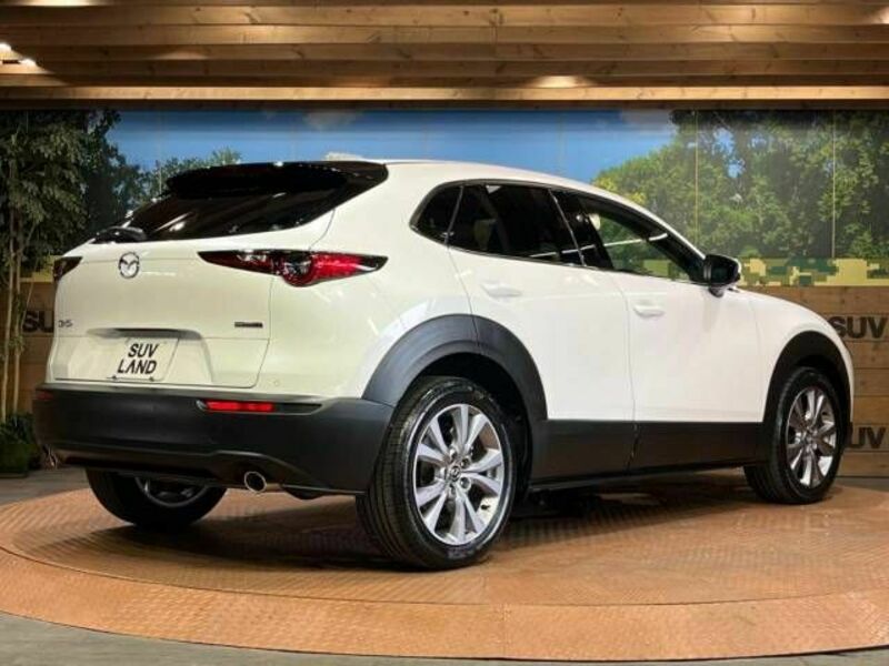 CX-30-17