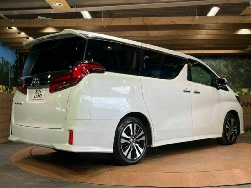 ALPHARD-17