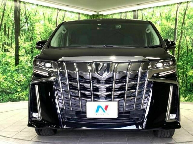 ALPHARD-15