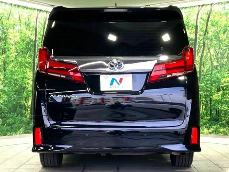 ALPHARD-16