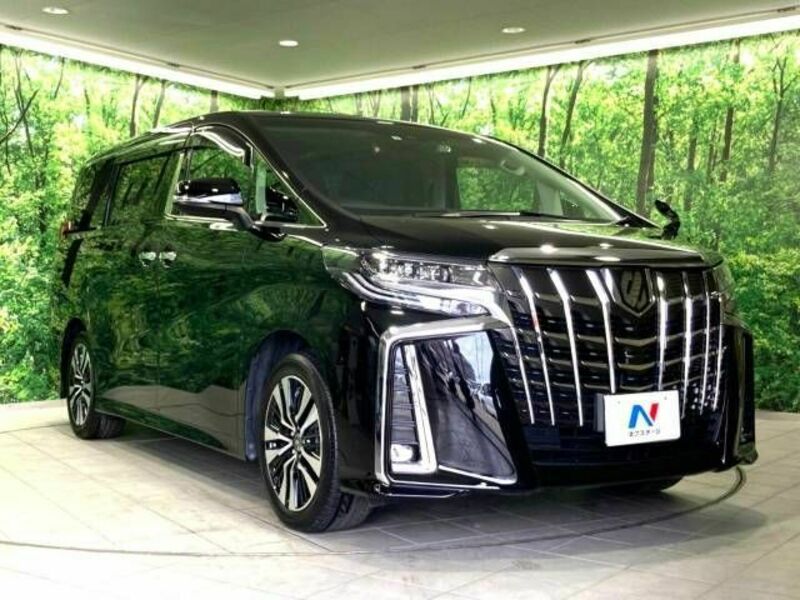 ALPHARD-17