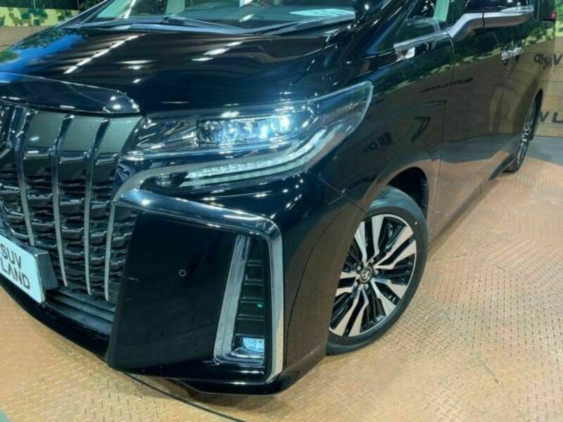 ALPHARD-8