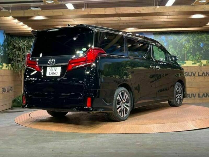 ALPHARD-17