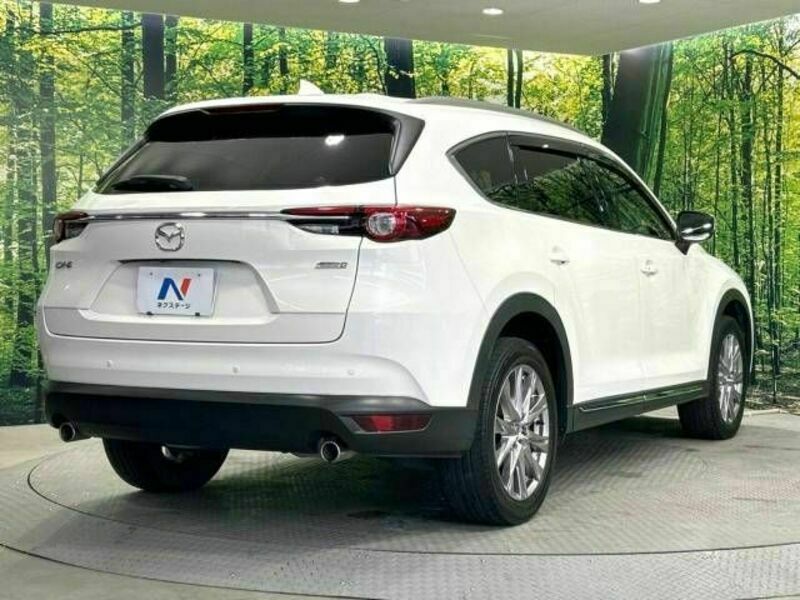 CX-8-18