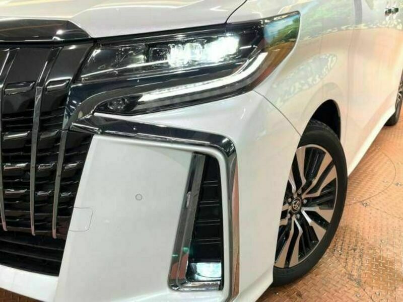 ALPHARD-14