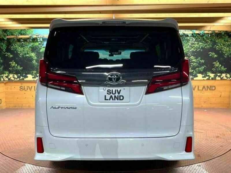 ALPHARD-17