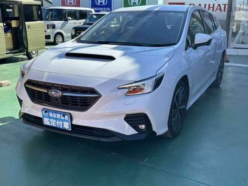 LEVORG-2