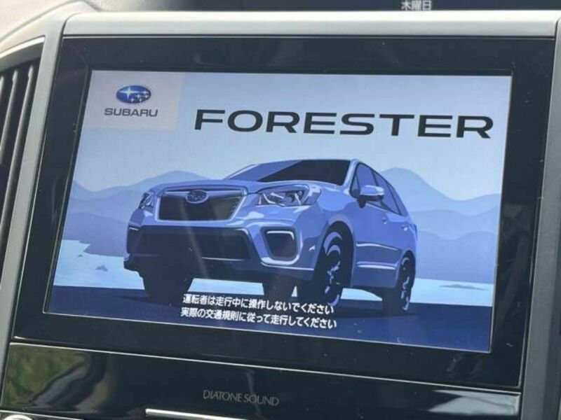 FORESTER-10