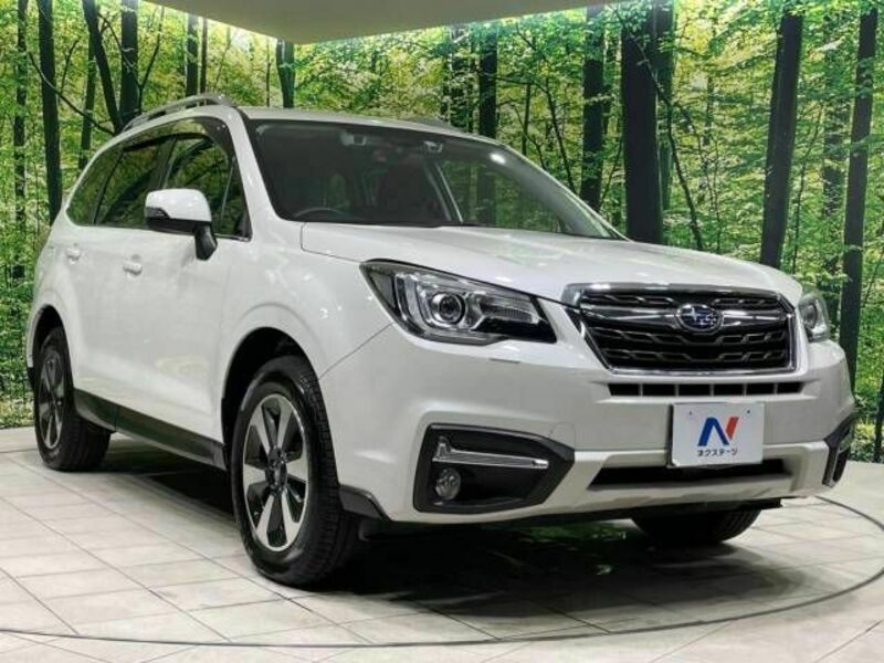 FORESTER-16