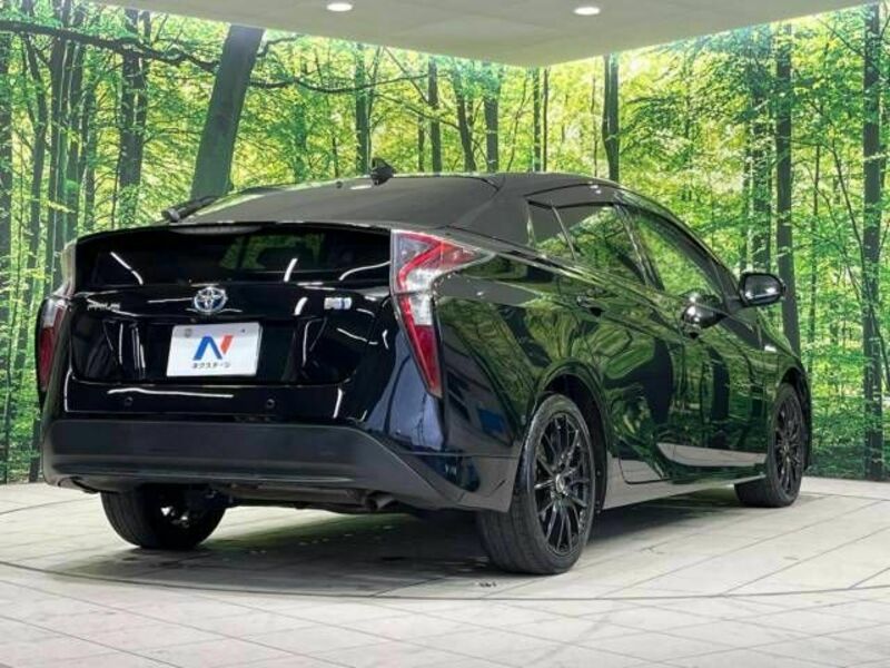 PRIUS-17