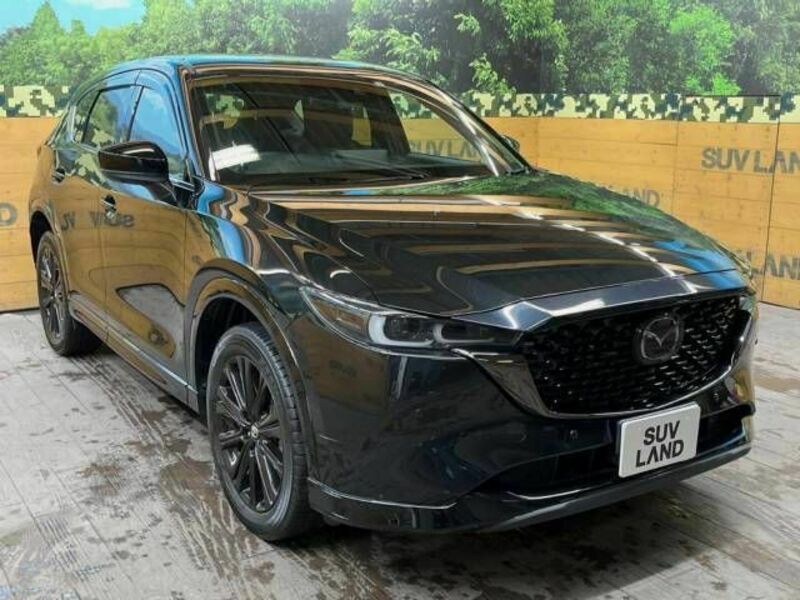 CX-5-17