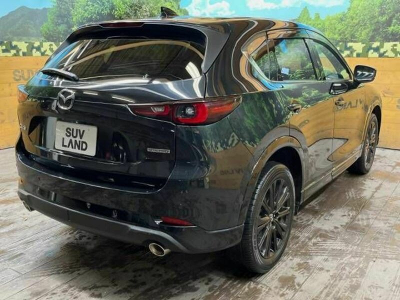 CX-5-18