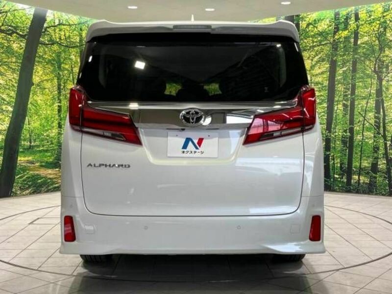 ALPHARD-16