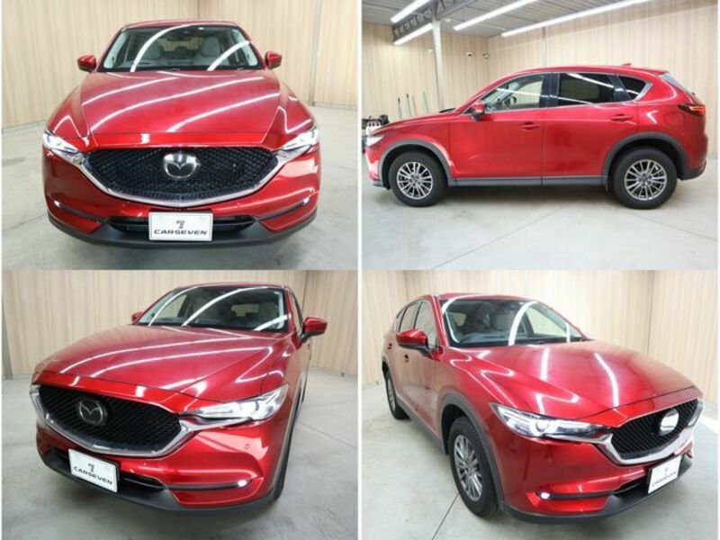 CX-5-22