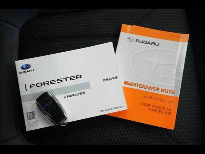 FORESTER-7