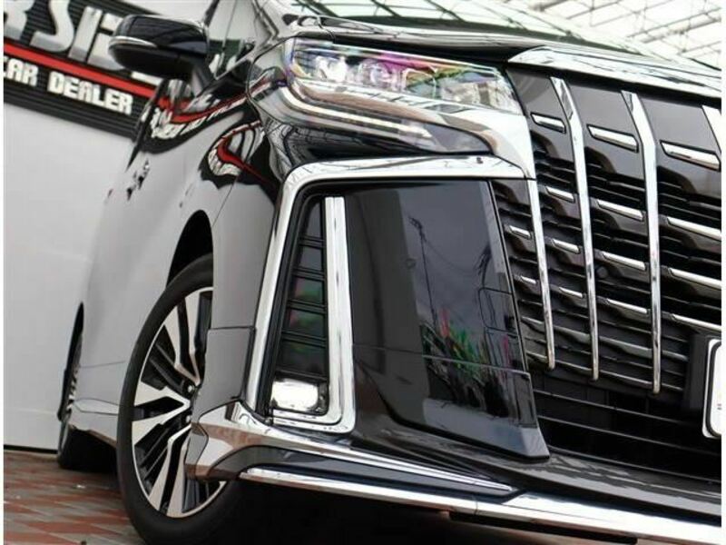 ALPHARD-17