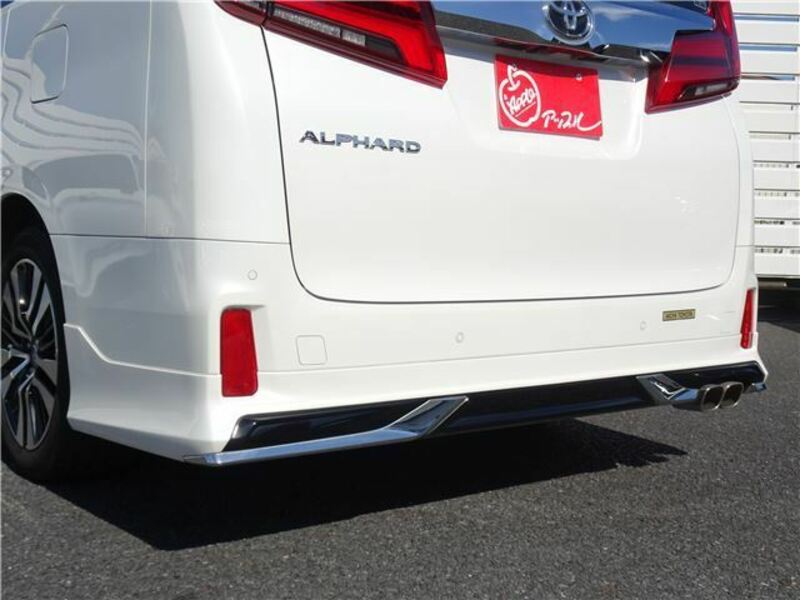 ALPHARD-6