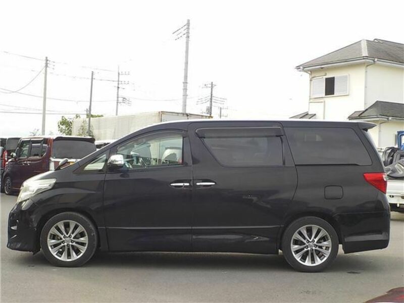 ALPHARD-7