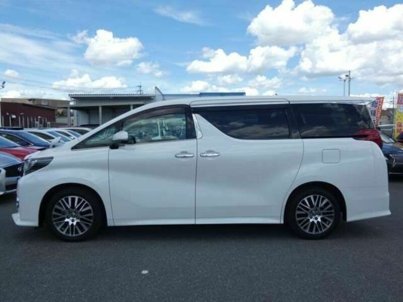 ALPHARD-6