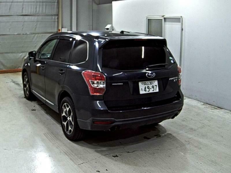 FORESTER-1