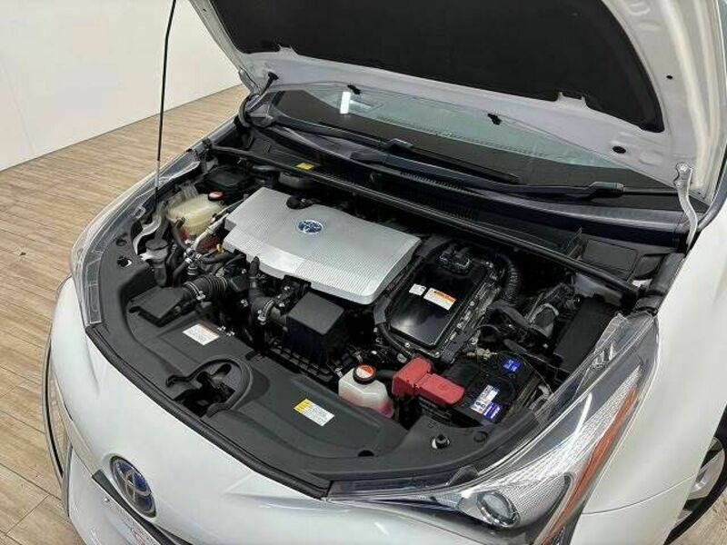 PRIUS-17