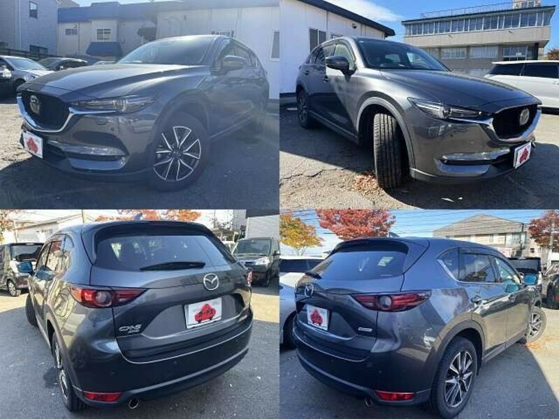 CX-5-8