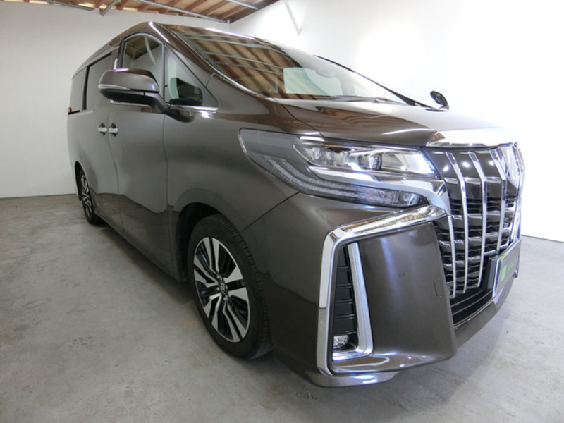 ALPHARD-13