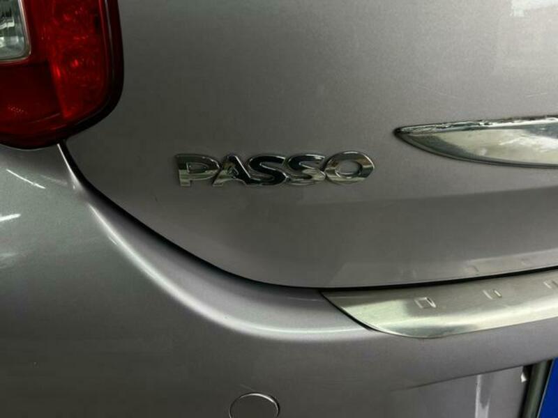 PASSO-16