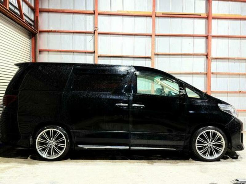 ALPHARD-13