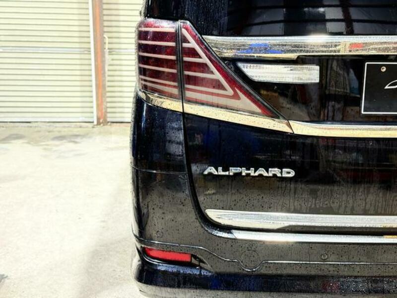 ALPHARD-19