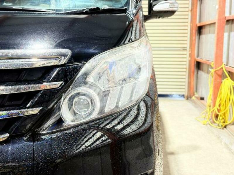 ALPHARD-6