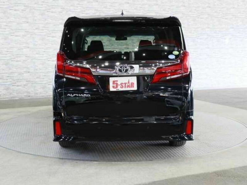 ALPHARD-13