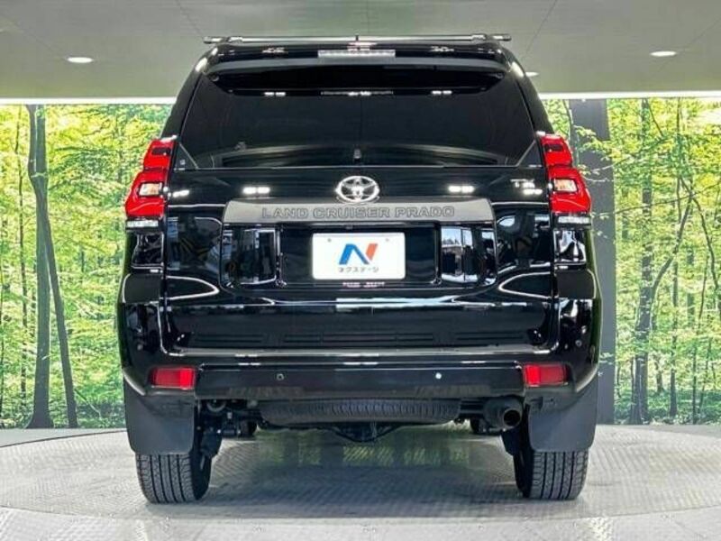 LAND CRUISER PRADO-17