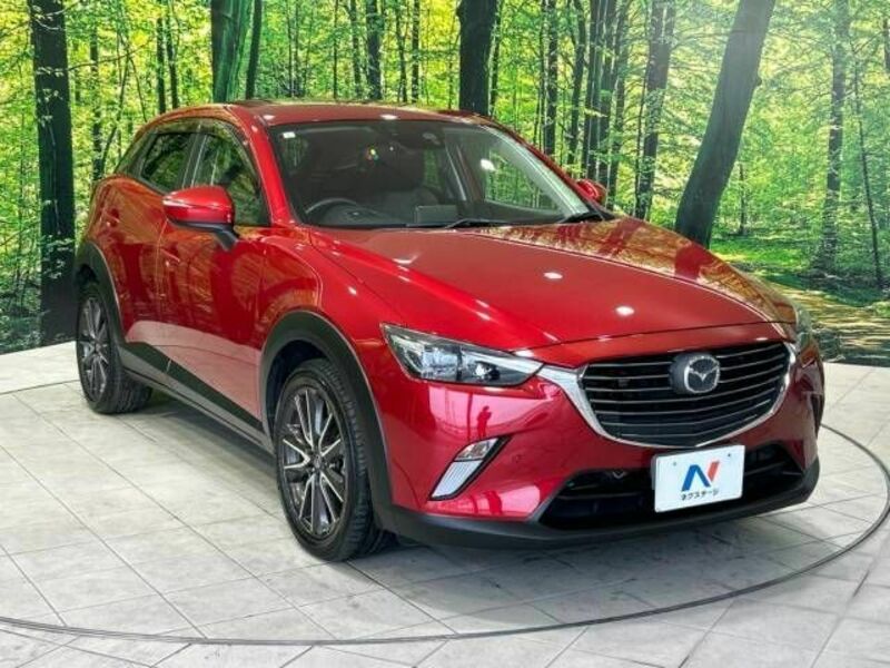 CX-3-16