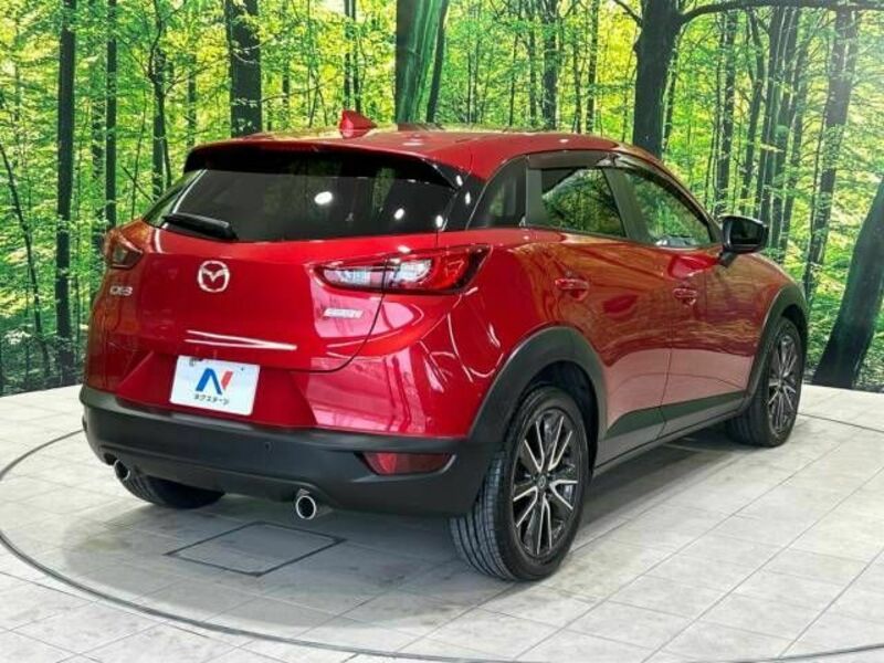 CX-3-17