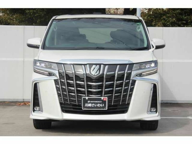 ALPHARD-19