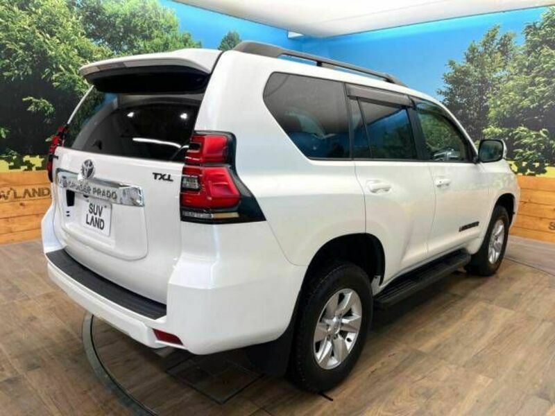 LAND CRUISER PRADO-17