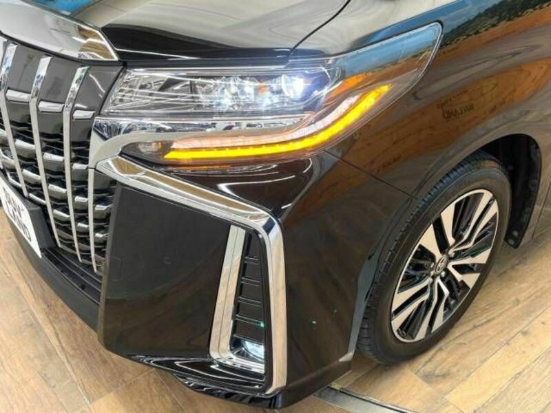 ALPHARD-12