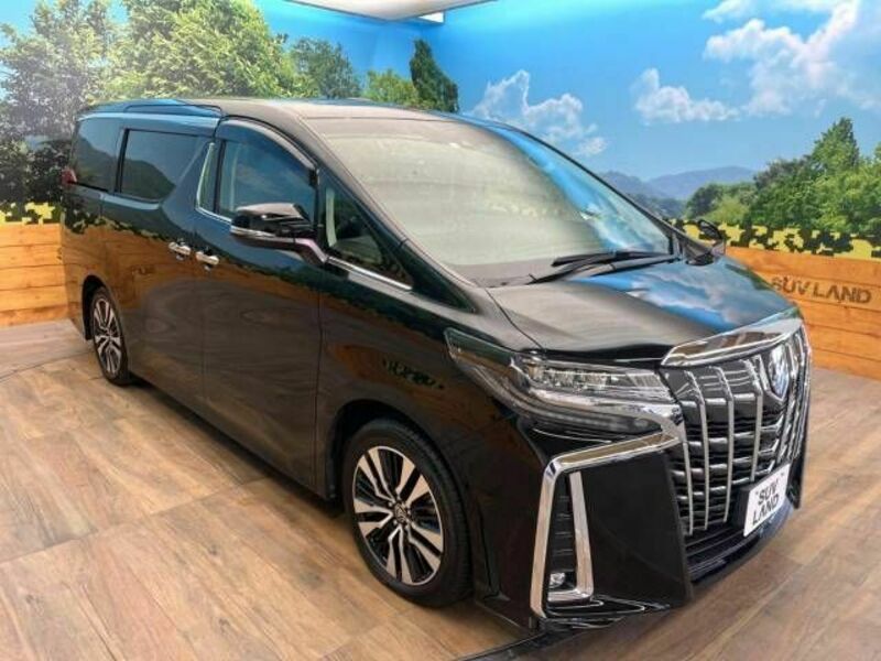 ALPHARD-17