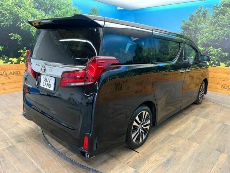 ALPHARD-18